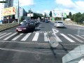 Кот на пешеходном переходе