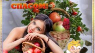 С Яблочным спасом!