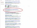 apcalis_NY-2