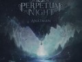 Perpetual Night - Wild