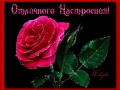 отличного настроения