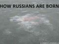Как рождаются русские