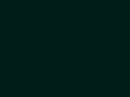 Очень темный синевато-зеленый	#001D18	0	29	24
