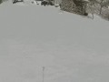 image (1)