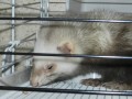 DSCN0938
