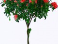 mel-scr-flower13