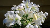 IMG_8893 копия