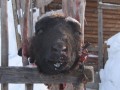 Umna_1.03.09 030