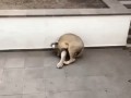 день на курсах йоги.