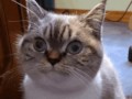 videotogif_2019.09.12_16.56.08