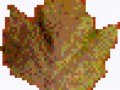 fon_4_1_arnusha