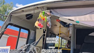 video5244883623718461183