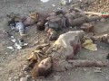 IRAQ - Kataib Imam Ali (AS) Ambush - ISIS Terrorists Killed in Saqlawiyah
