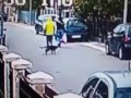 Бродячая собака спасла женщину от грабителя