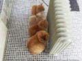 Коротко о погоде!