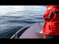 норвегия морской черт