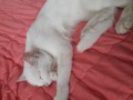 20191203_135608[1]