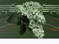 -Феофанов-Рамочка_03