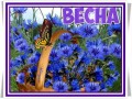 весна