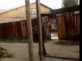 Напугали горе электрика