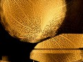 _na_krovat_krugluyu_yapfiles.ru — копия (2)