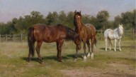 Three_Horses_in_a_Landscape_-_Rosa_Bonheur