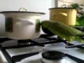 Кеша - зеленый попугай - хочет есть!