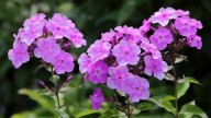 IMG_0034 копия