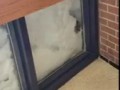 Bunny Rescued From Being Buried in Snow || ViralHog