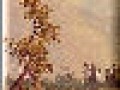 8_5